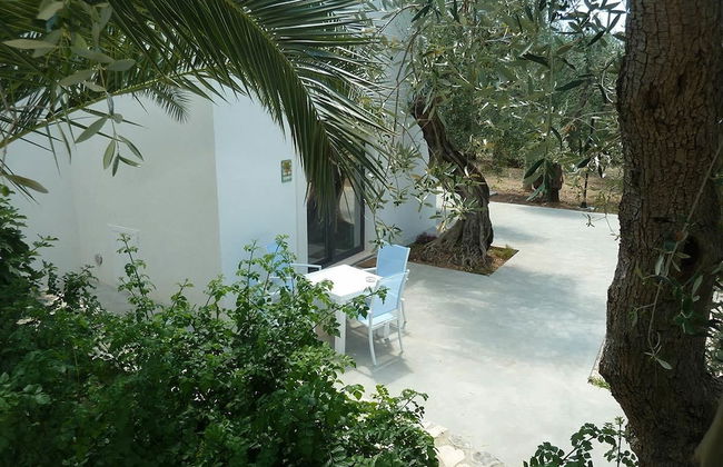 Tenuta Santa Maria - Foto 71