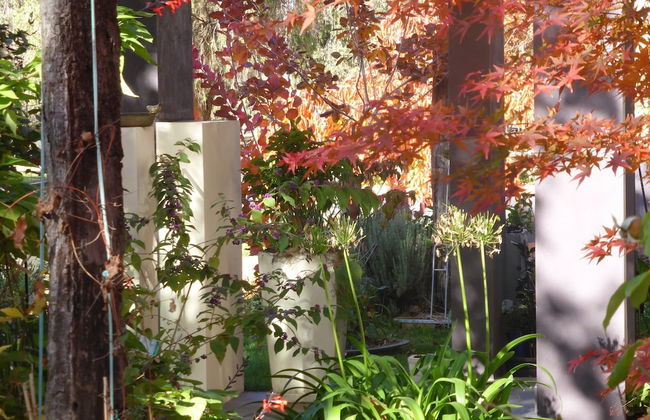 A Colourcity Apartments - Foto 27