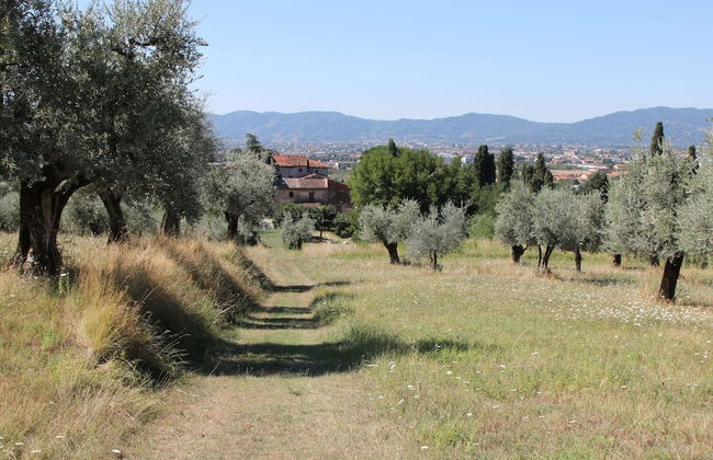 Comfortable Holiday Home in Pistoia With Pool - Foto 33