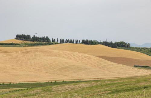 Agriturismo La Valle della Lavanda - Podere Mezzastrada - Foto 24
