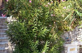 Apartment Zelena Oaza - Foto 18