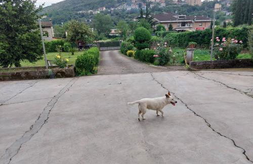 Sezze - Casa between the sea and the mountains of Luigi Fabiana - Foto 17