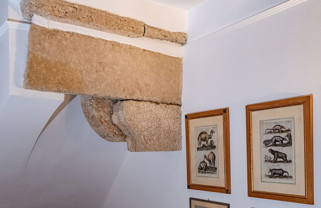 Wonder Cozy Studio - Photo 9