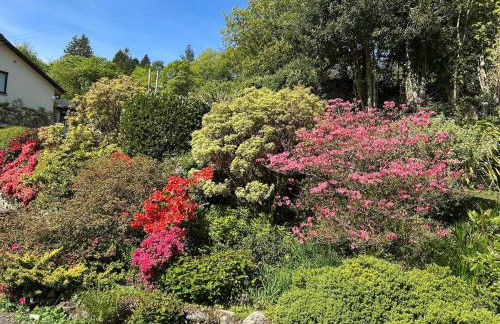 Mawddach View, Snowdonia Hot tub & Pet friendly - Foto 43
