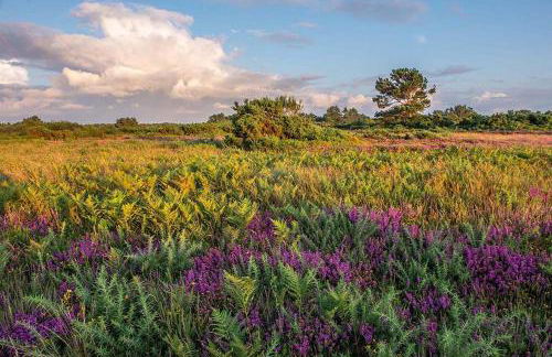 2 Bed in Weybourne oc-1628 - Photo 12