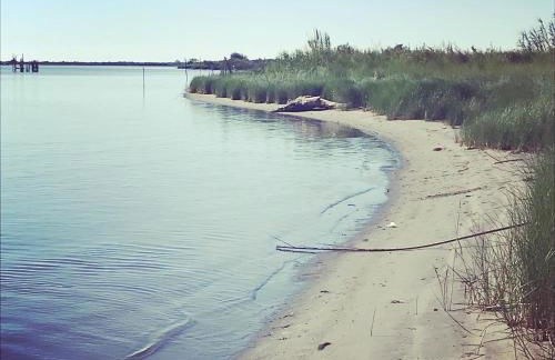 Appartamento Lavanda - Casa vacanza nel Delta del Po - Foto 39