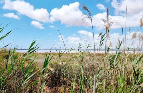 Charming House with Nature - Foto 30