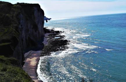 KOTA Finlandais ETRETAT - Foto 4