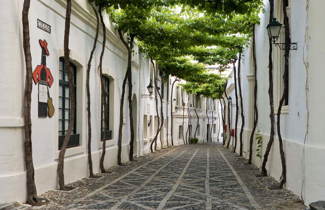 Visite de la cave Tío Pepe - Photo 5