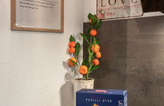 LubuNest l Altstadt Stellplatz Blühendes Barock - Foto 27