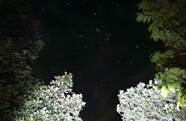 Chalé lawill ilha do mel - Foto 26