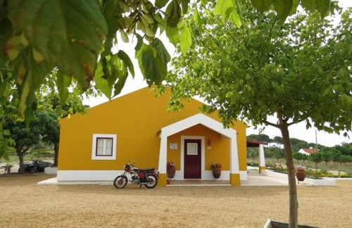 Monte do Brejinho de Água - Foto 32