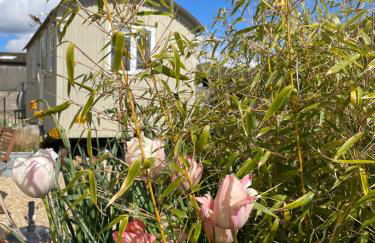 The Shepherd's Hut - Foto 5