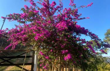 Sítio do Ziquinha - Photo 18