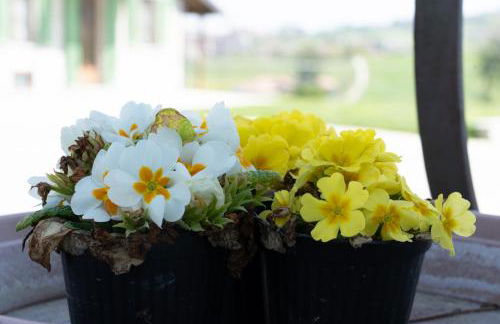 Vignot & Wine - Foto 47