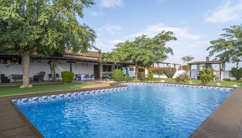 Finca Los Caleros - Algorfa - Foto 2