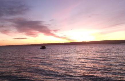 For Sea Lovers ! Coastguard Boat House right on Belfast Lough - Foto 28