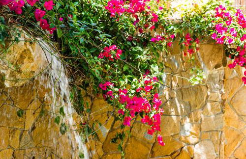 Bright villa with salt water pool - Photo 21