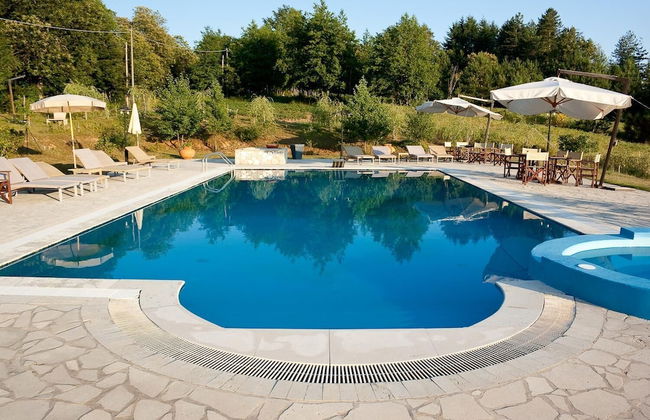 La Rosa Nel Bicchiere - Foto 12