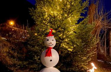 Apartaments Alta Muntanya - Foto 71