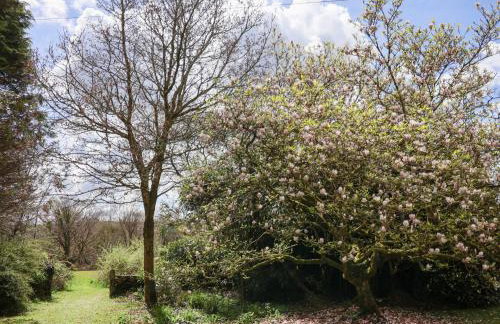 Dunridge Cottage - Foto 26