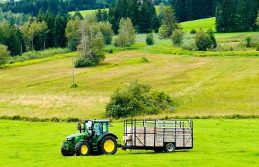 Bio-Ferienhof Köpf - Foto 33