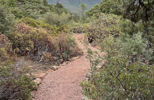 Sundial Circle Pine - Photo 30