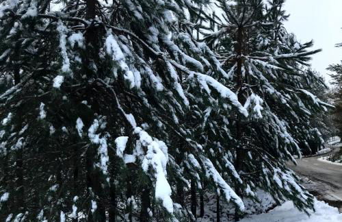 Casa do Ti Tóte - Foto 62