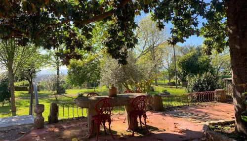 Casa do Palheiro - Valença - Foto 4, Garden