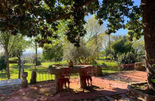 Casa do Palheiro - Valença - Foto 4