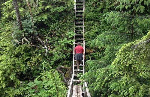 Wilderness Cabin Getaway with Breathtaking Views in Klawock on Prince of Wales Island in Alaska - Foto 13