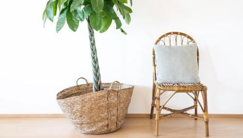 Cestaria Costa Nova - Foto 3