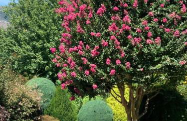 Rayon de Soleil - Foto 22