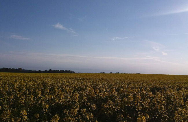 6 Person Holiday Home in Jaegerspris-by Traum - Photo 15