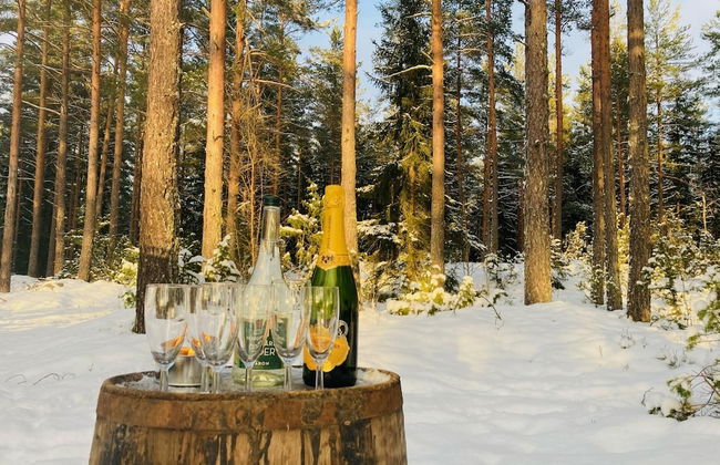 5 bed Country Home Only 2 hrs North of Stockholm - Foto 29