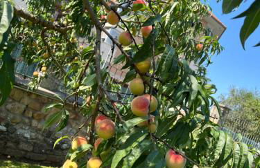 Villa Marta loft diáfano con jardín y aparcamiento en Villa histórica - Foto 32