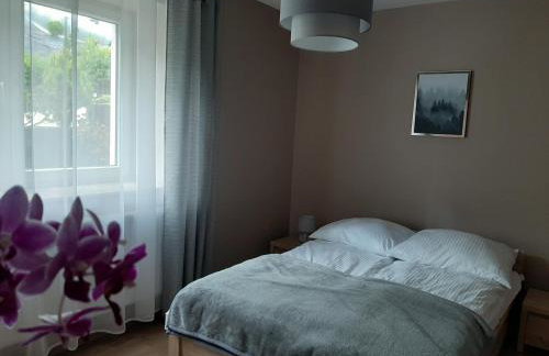 Apartamenty ,,Trzy Sosny'' Rymanów-Zdrój - Foto 24