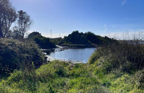 OFIR NATURE - Foto 9