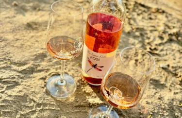 Apartamenty i Winnica - Siedlisko Na Polanie - Foto 48