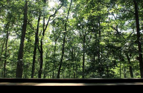 Idyllic Cabin Rental Nestled in the Forest near Summersville, West Virginia - Foto 19