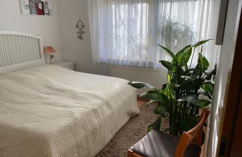 3 Zimmerwohnung am Waldrand - Foto 16