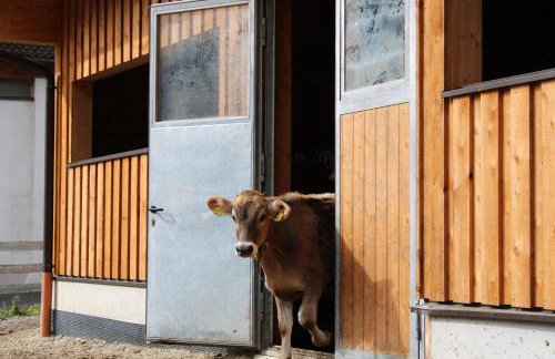 Mühlanderhof Apt Klopairspitze - Foto 29