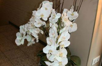 Albertus Paris Aparthotel - Foto 15