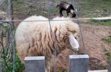 Quinta Da Bolota double room - Foto 21