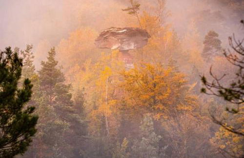 Ferienhaus 'Emma' Rodalben - Foto 13