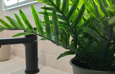 Apartamento Verdemare - Photo 36