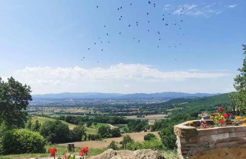 Al Podere del Nonno Romolo - Photo 47