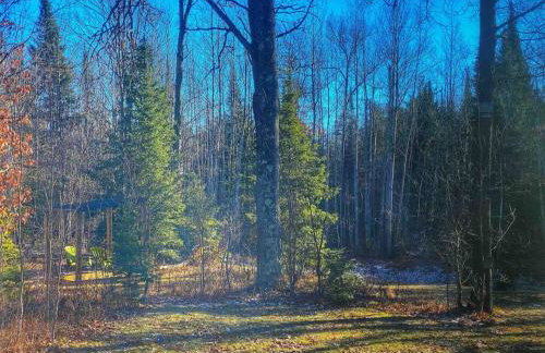 Barton City Lodge - Foto 19