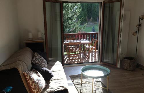 Studio Valberg face aux pistes - Foto 1