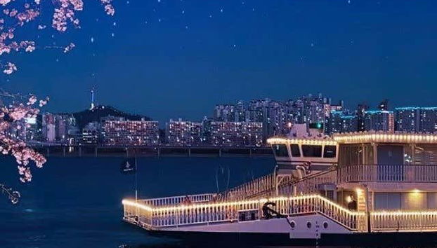 Han River Night Cruise + Picnic in Hangang Park - Foto 4